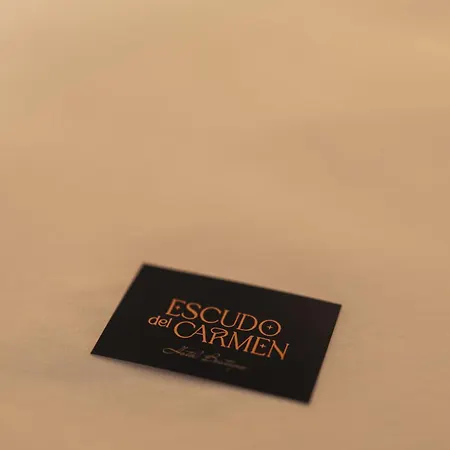 Boutique Escudo Del Carmen Otel Granada