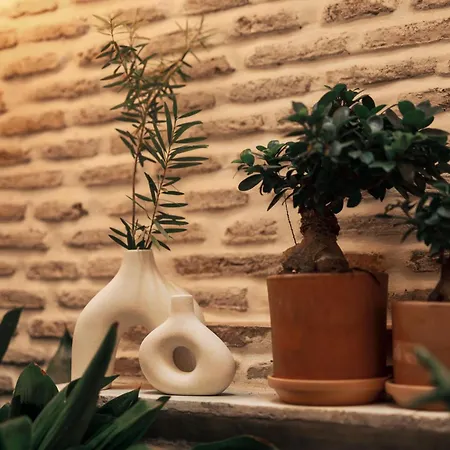 Otel Boutique Escudo Del Carmen 2*